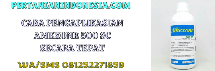 cara,aplikasi,pestisida jenis herbisida,herbisida amexone,petrokayaku,pertanian indonesia